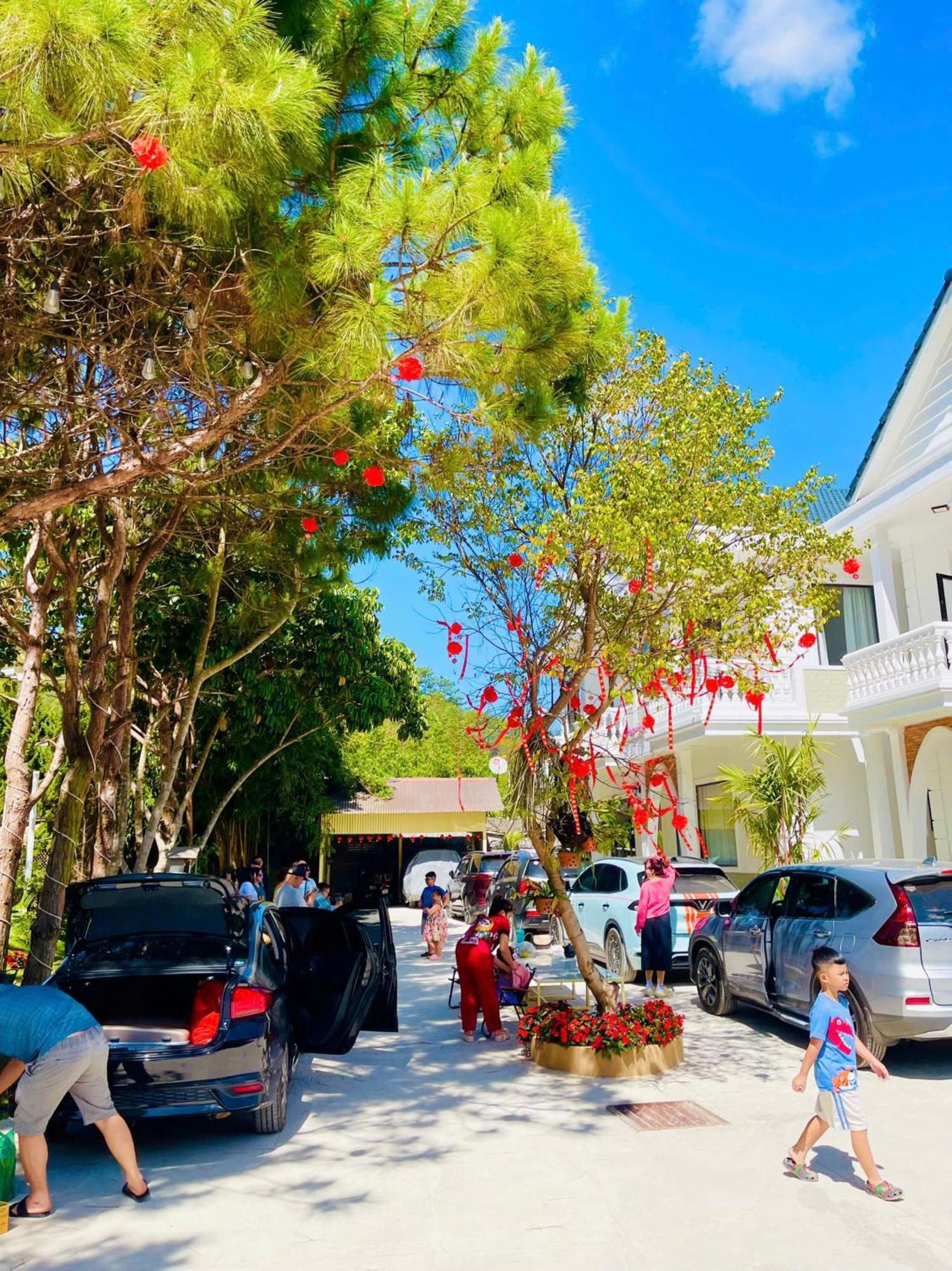 White Villa Νταλάτ Εξωτερικό φωτογραφία