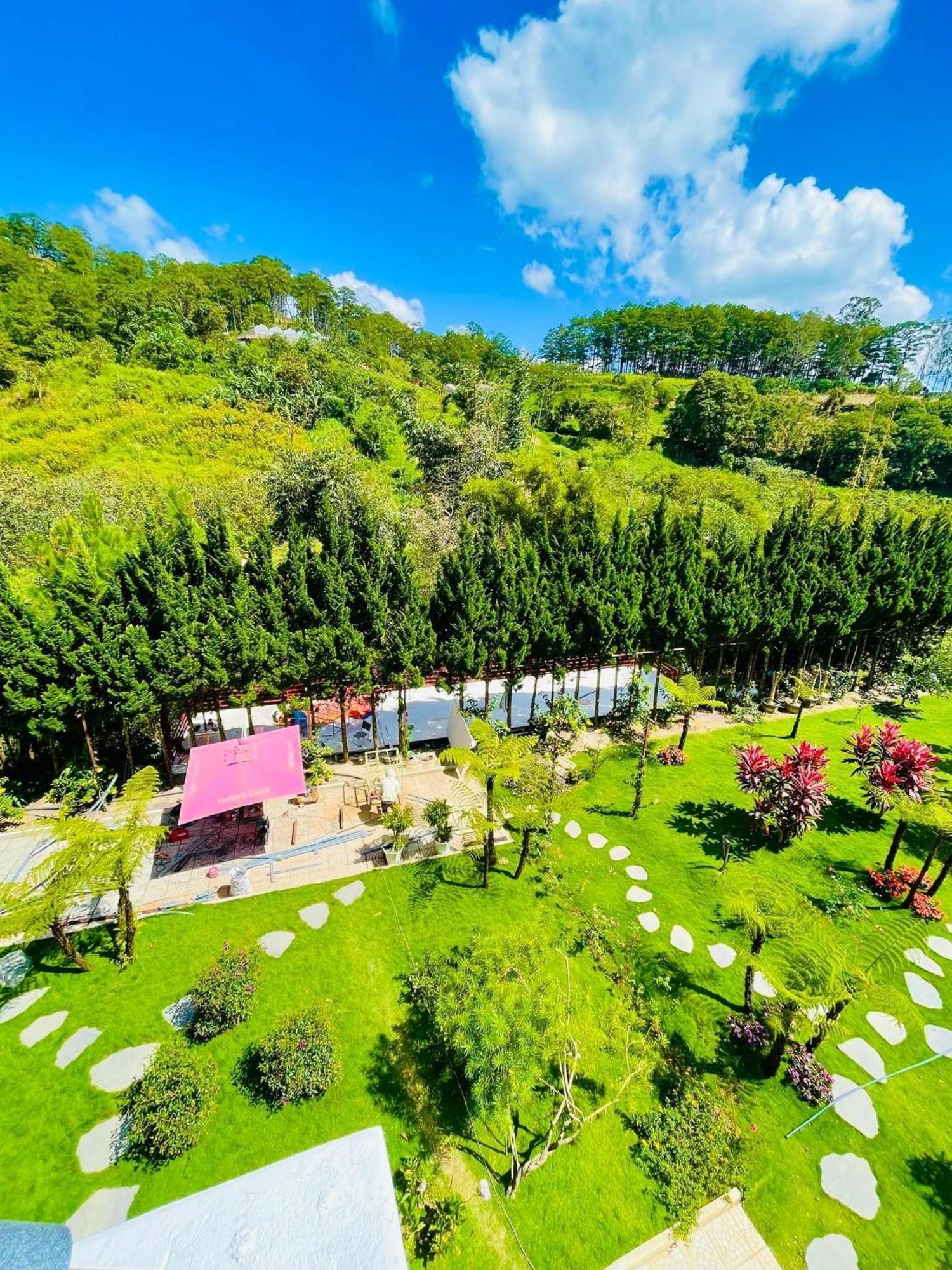 White Villa Νταλάτ Εξωτερικό φωτογραφία