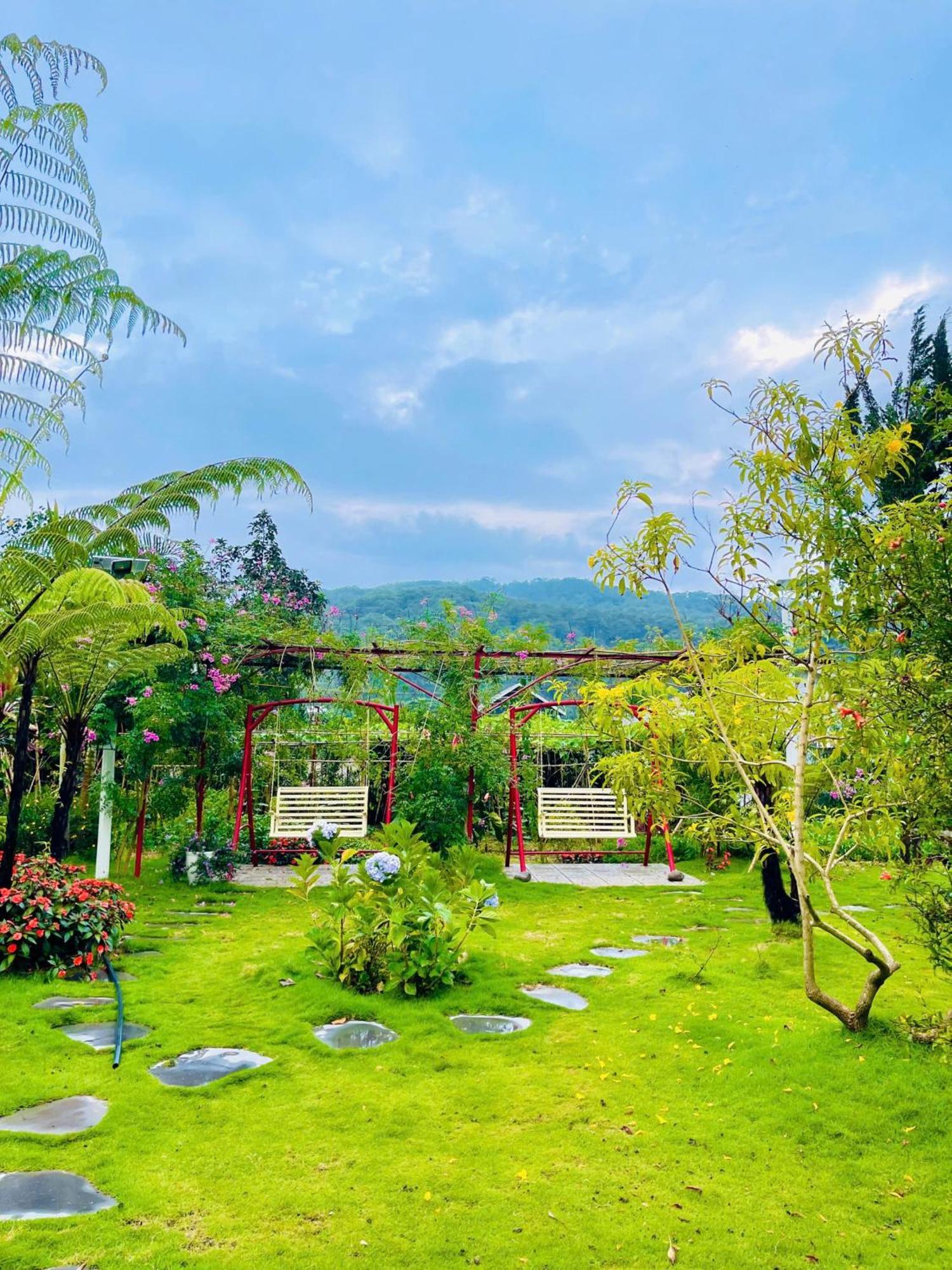 White Villa Νταλάτ Εξωτερικό φωτογραφία