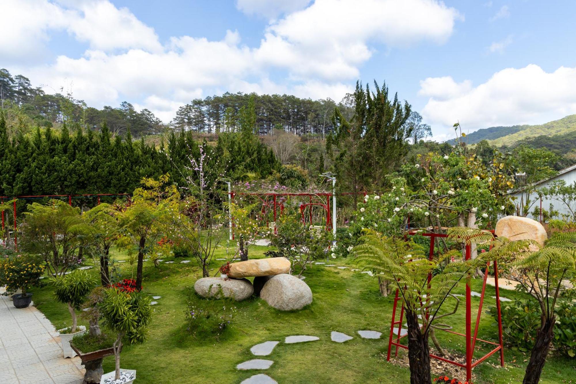 White Villa Νταλάτ Εξωτερικό φωτογραφία