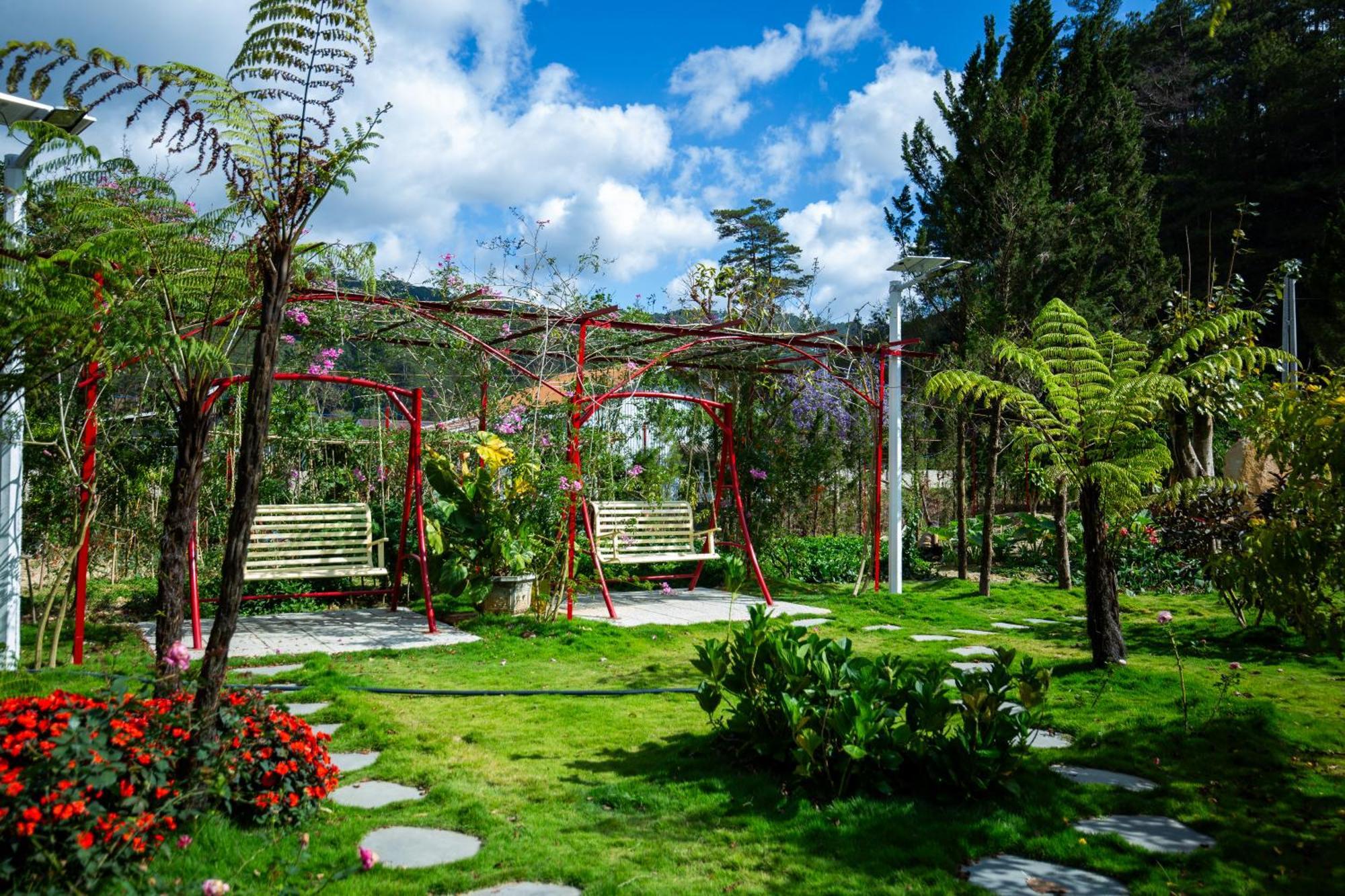 White Villa Νταλάτ Εξωτερικό φωτογραφία